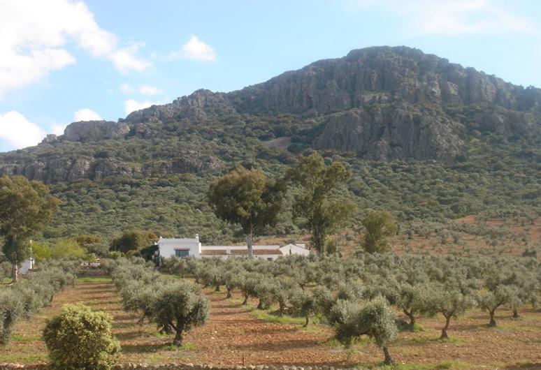 Casa Rural Sierra De Mampar Hornachos Exterior photo
